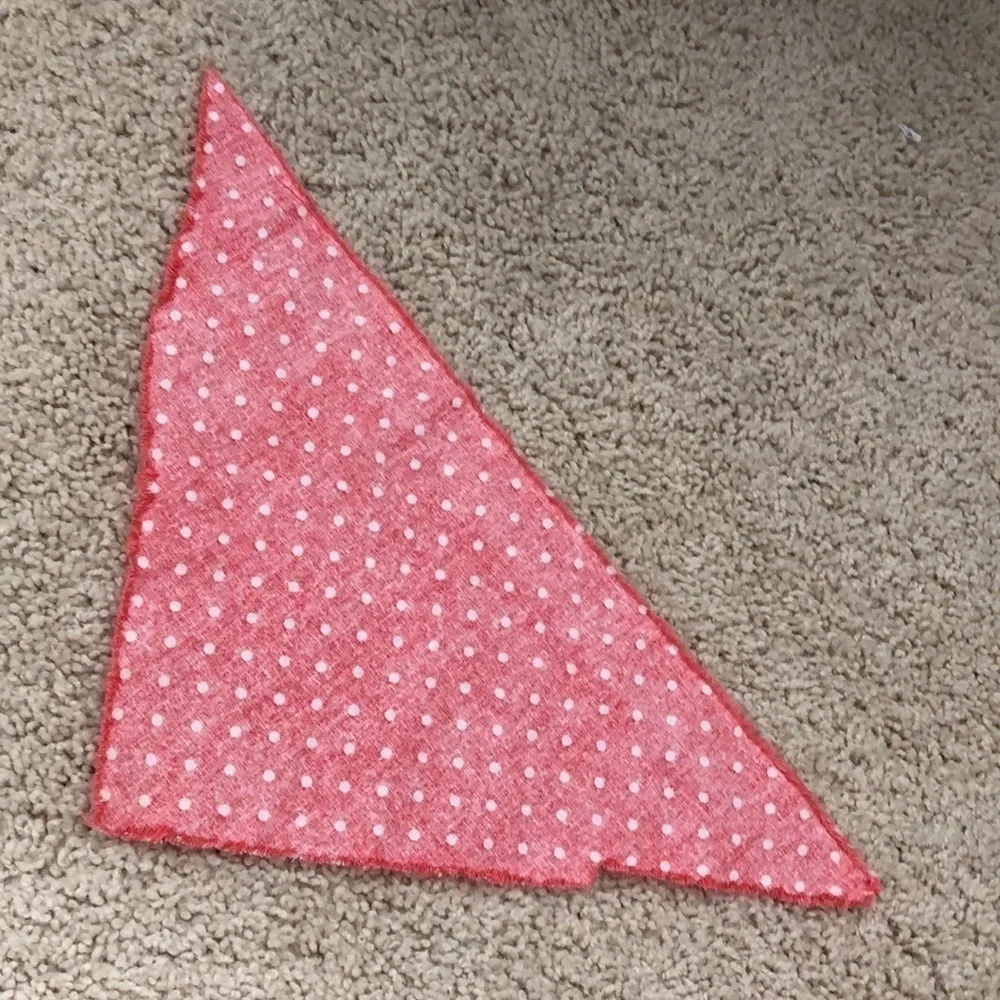 🔵 Pet bandanna